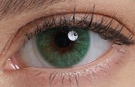 Visuel 2