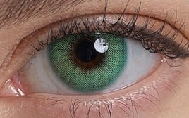 Visuel 2
