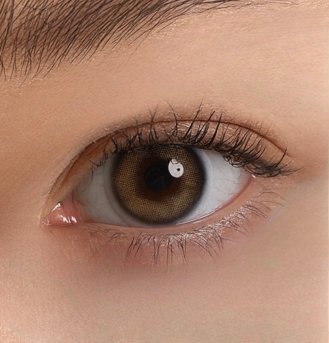 Pretzel | Hazel Brown Colored Contacts Lenses